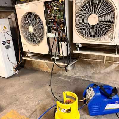 WhatsApp Image 2026-01-19 at 11.36.28 AM (3) 1